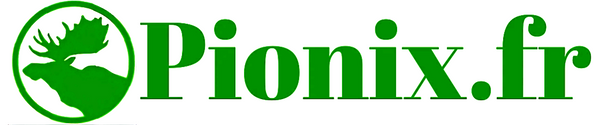 Pionix.fr